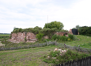 ruiny-zamku-arcybiskupw-w-owiczu